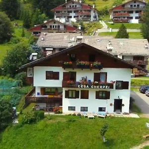 Cesa Cherpei - Dog Friendly
